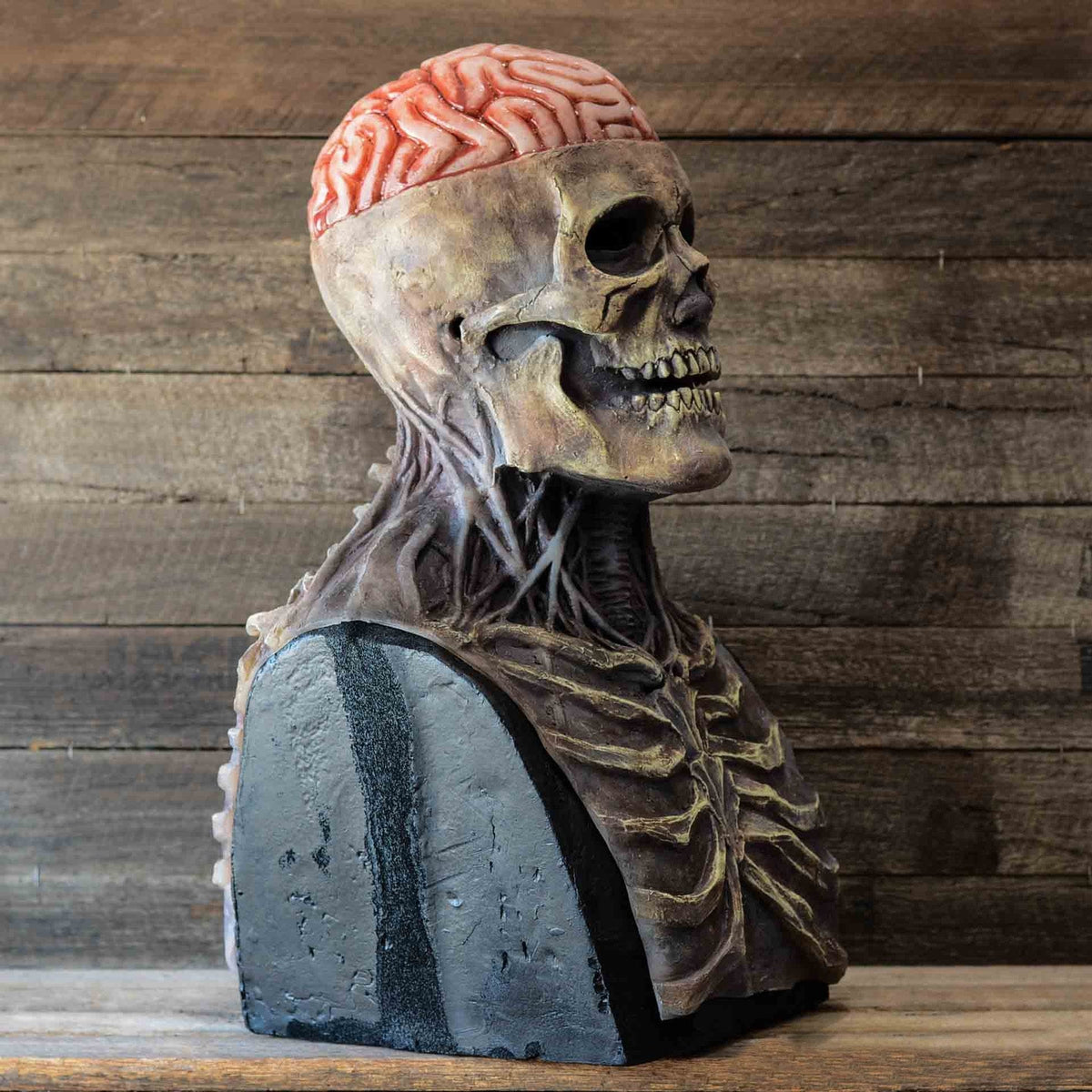 Skeleton Mask with Moving Jaw | Realistic Latex Halloween Costume