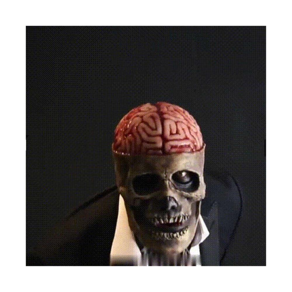 Skeleton Mask with Moving Jaw | Realistic Latex Halloween Costume