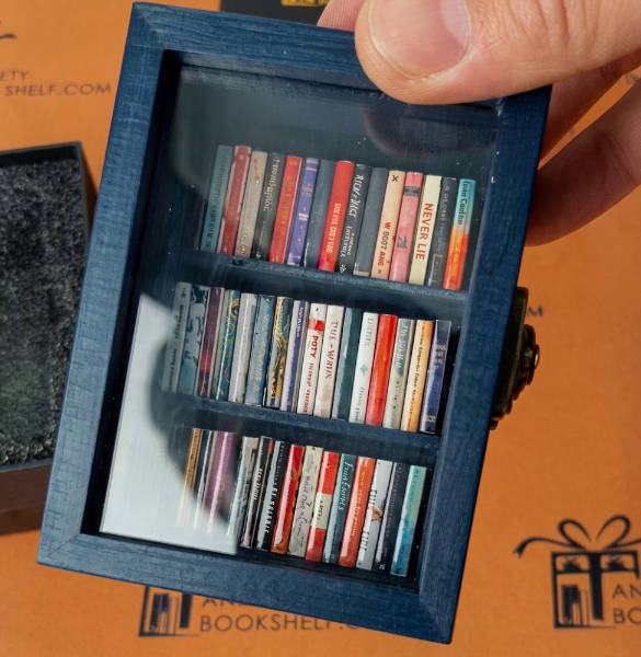 Literary Advent Calendar 24 Days Book Lover Christmas Countdown