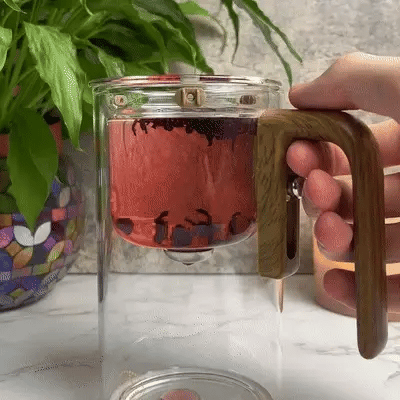 Premium Glass Teapot with Magnetic Infuser | Loose-Leaf Tea Brewing