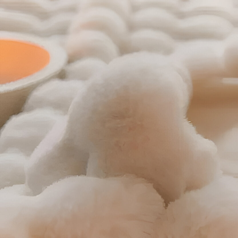 Lightweight All-Season Blanket | Soft Plush Design for Year-Round Comfort