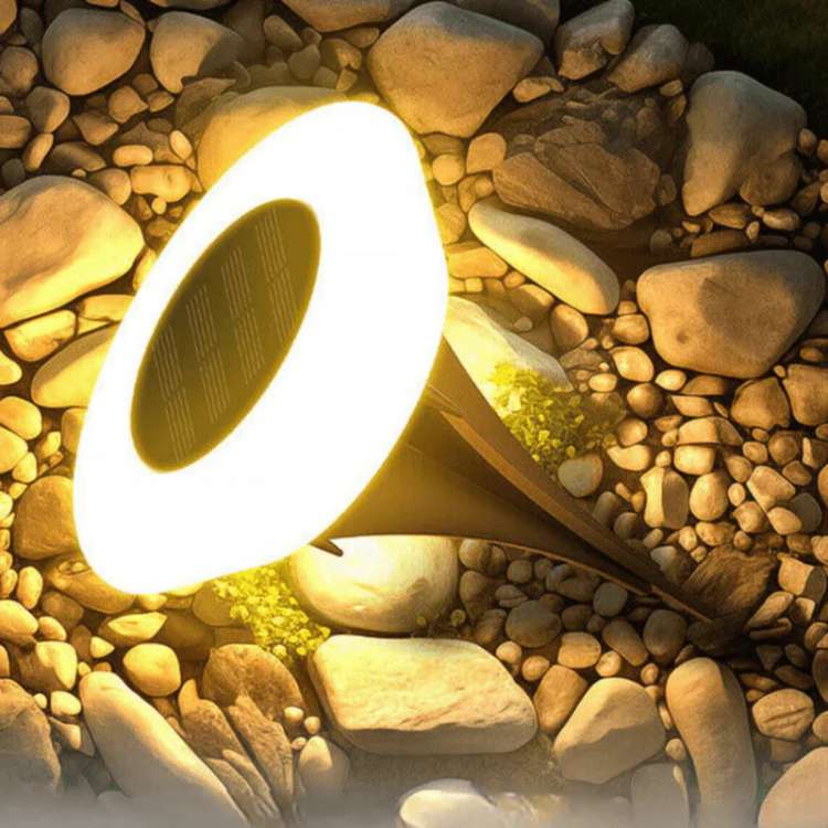 Solar Garden Lights - Stainless Steel Outdoor Pathway Lighting