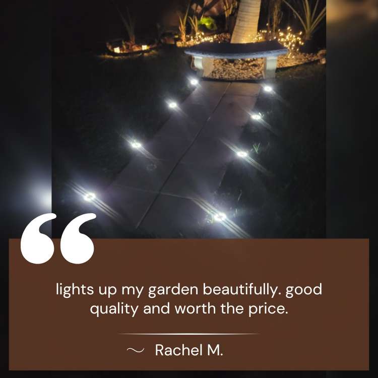 Solar Garden Lights - Stainless Steel Outdoor Pathway Lighting