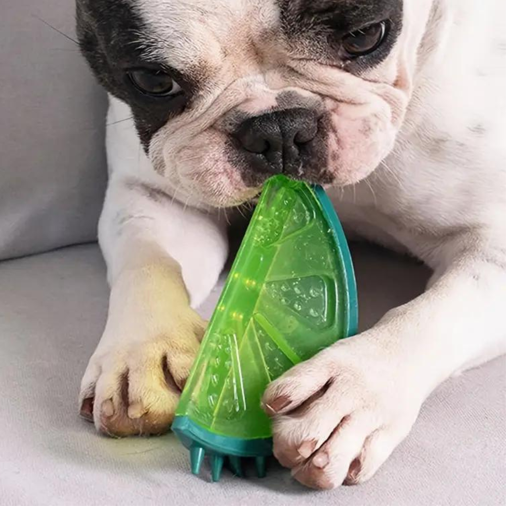 Freezable Dog Chew Toy – Cooling Pet Toy for Summer