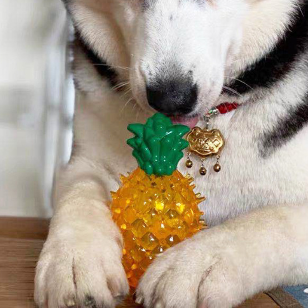 Freezable Dog Chew Toy – Cooling Pet Toy for Summer