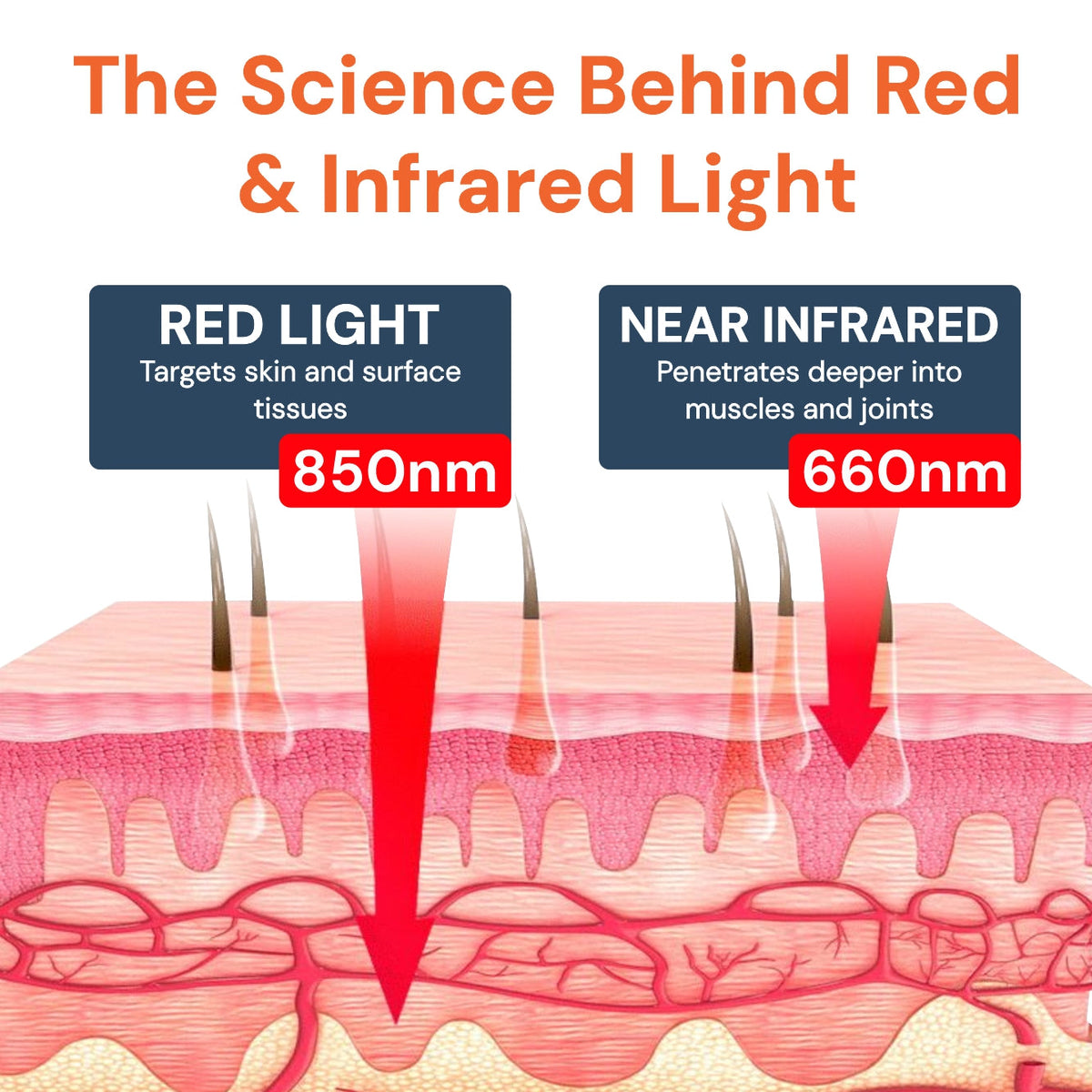 Red Light Therapy Panel for Face, Hair & Body Wellness
