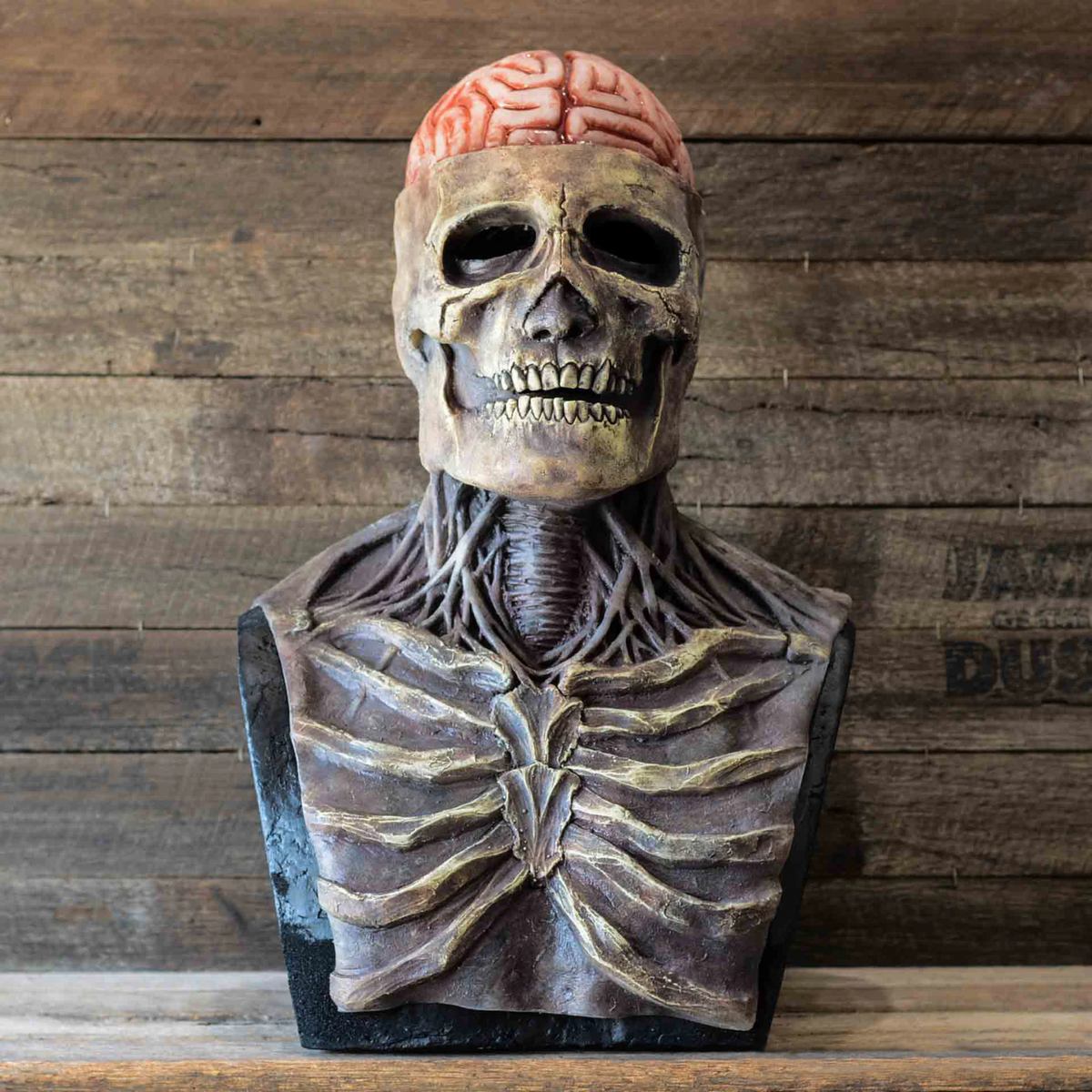 Skeleton Mask with Moving Jaw | Realistic Latex Halloween Costume