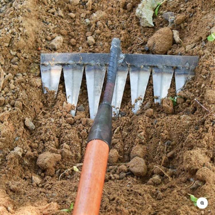 Steel Garden Rake with Deep Root Extraction – LawnLiberator