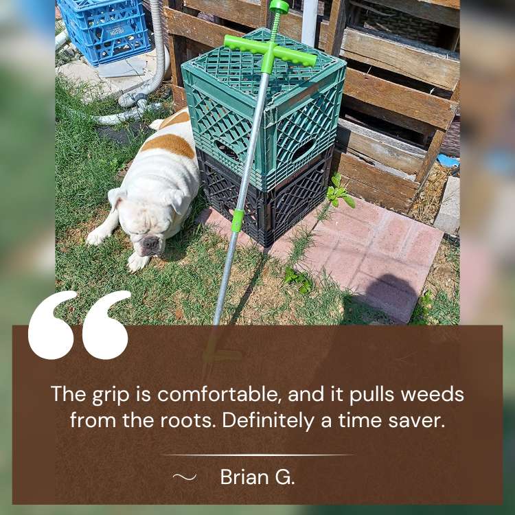 RootRipper Steel Garden Weed Puller Tool – Ergonomic Stand-Up Design