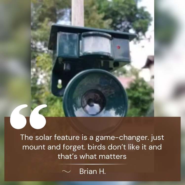 Solar Bird Repeller with Motion Sensor & Predator Sounds